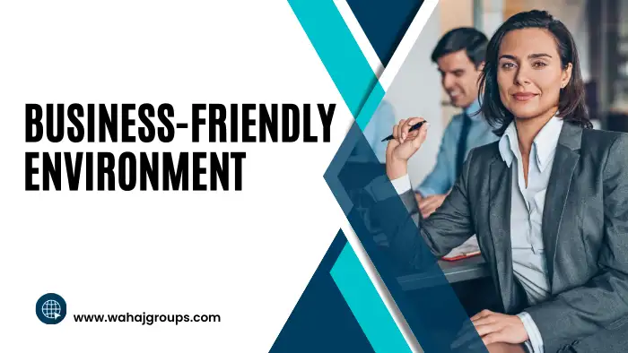 Business-Friendly Environment